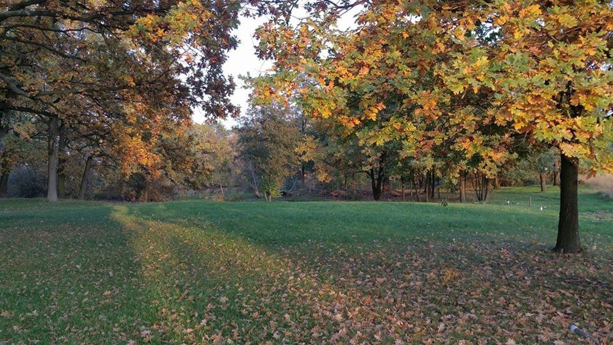 ogród / park